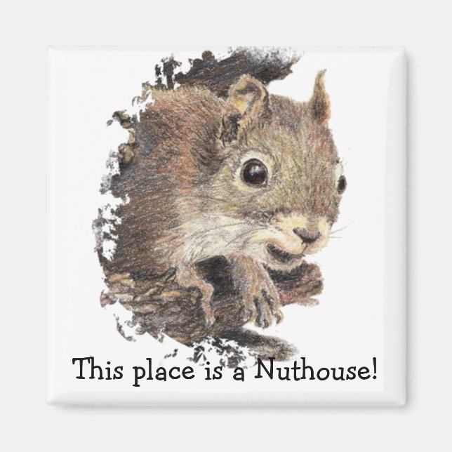 Squirrels This place is a Nuthouse! Humour Magnet (Front)