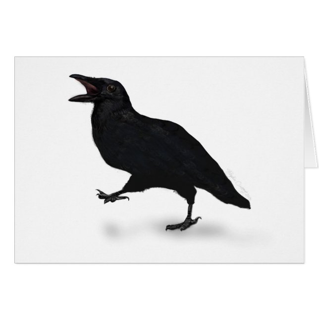 Sqwarking Crow (Front Horizontal)