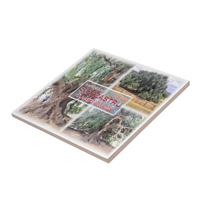 SRD006 LURAS, Millennial Olive Tree, Tile (Side)