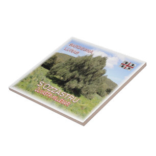 SRD007 LURAS Millennial Olive Trees, Tile