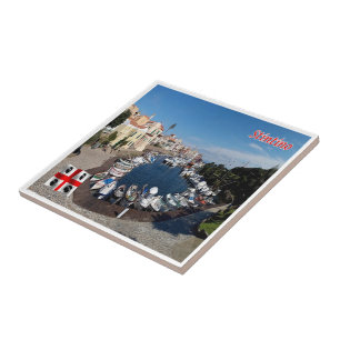 SRD045 STINTINO, Aerial view, Sardinia, Tile