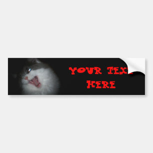 Sreaming cat customizible bumper sticker