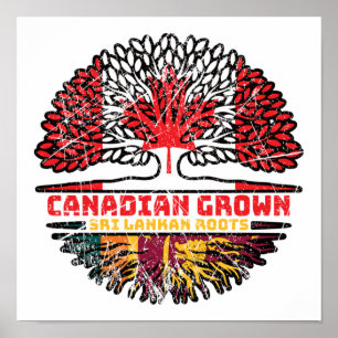 Sri Lanka Sri Lankan Canadian Tree Roots Poster