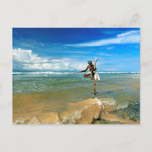 Sri Lanka stick fisherman Postcard (Front)