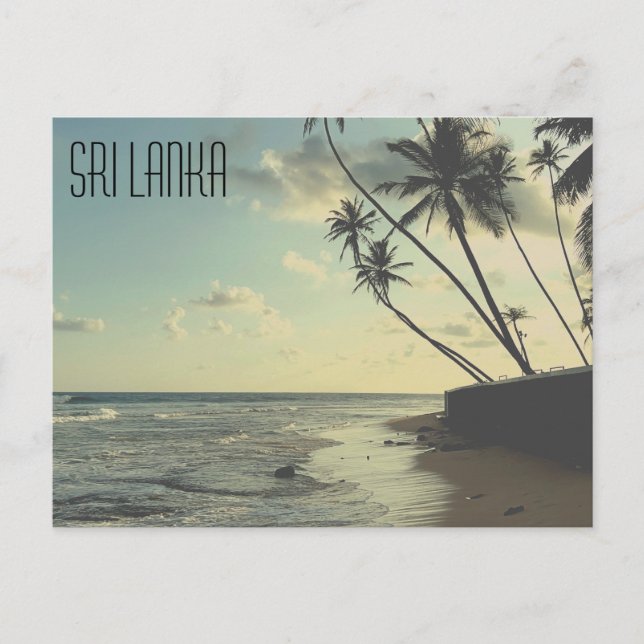 Sri Lanka Turtle Beach Postcard (Front)