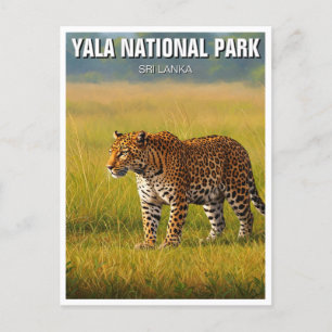 Sri Lanka Yala National Park Travel Postcard
