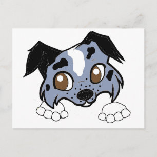ss blue merle and white peeking cartoon clothes postcard