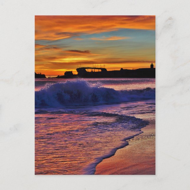 SS Palo Alto. Postcard (Front)