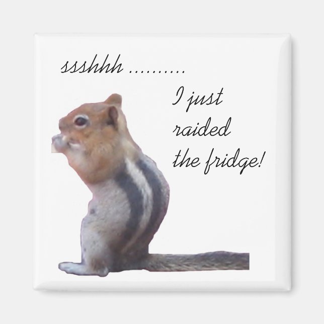 ssshhh ......... I just raided the fridge! Magnet (Front)