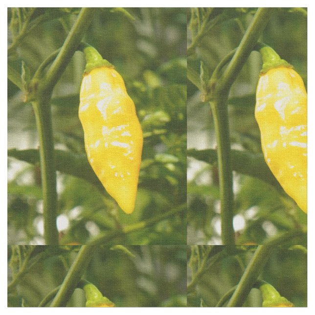 ST. AUGUSTINE DATIL PEPPER FABRIC (Close Up)