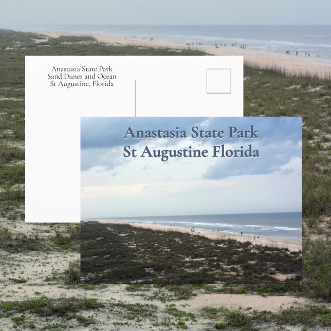 St Augustine FL Anastasia State Park Photographic Postcard (Creator Uploaded)