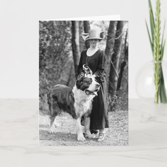St Bernard & Boston Terrier, 1925 Card (Front)