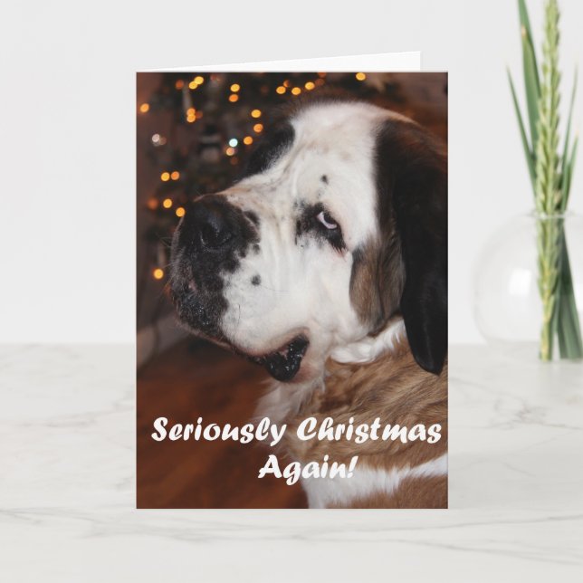 St Bernard Christmas greeting card (Front)