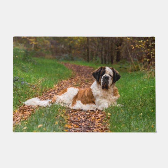 St Bernard dog in Autumn Doormat (Front)