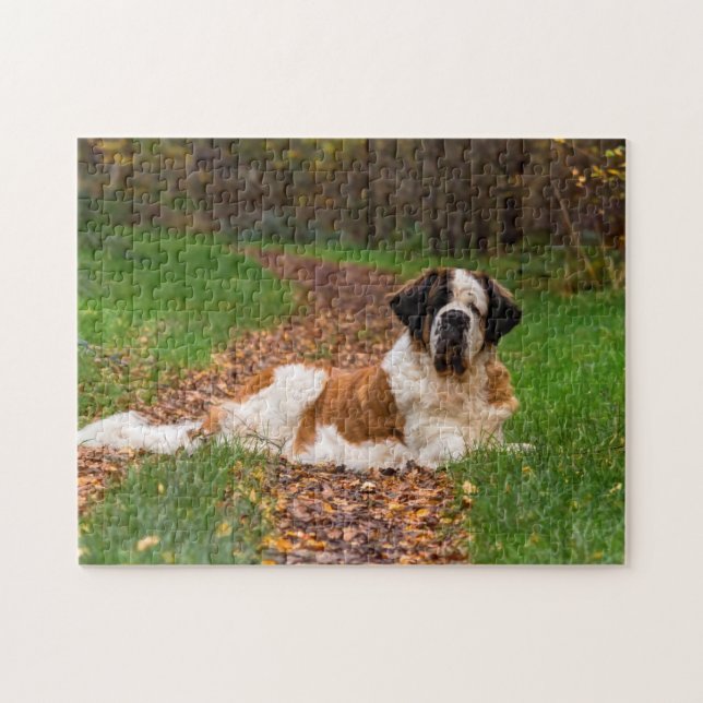 St Bernard dog in Autumn Jigsaw Puzzle (Horizontal)