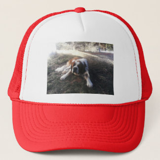 st Bernard hat