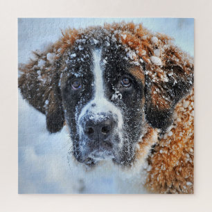 St Bernard in the Snow  Jigsaw Puzzle