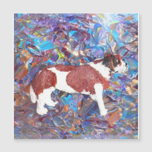 St. Bernard Magnetic Card