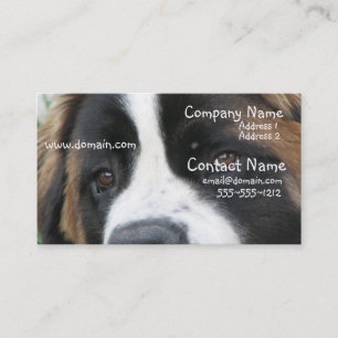 St Bernard Puppies Business Card