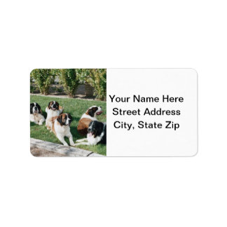 St. Bernards in the Yard Label