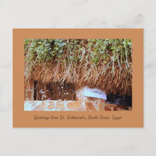 St. Catherine's Monastery, South Sinai, Egypt Postcard