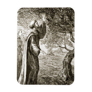 St. Columba changes bitter fruit into sweet, from Magnet