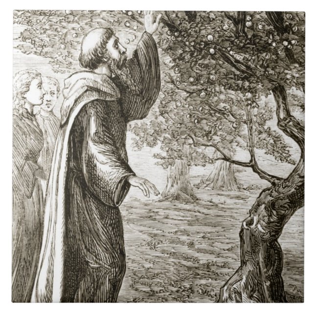 St. Columba changes bitter fruit into sweet, from Tile (Front)