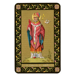 St. David of Wales (P 001) Magnet
