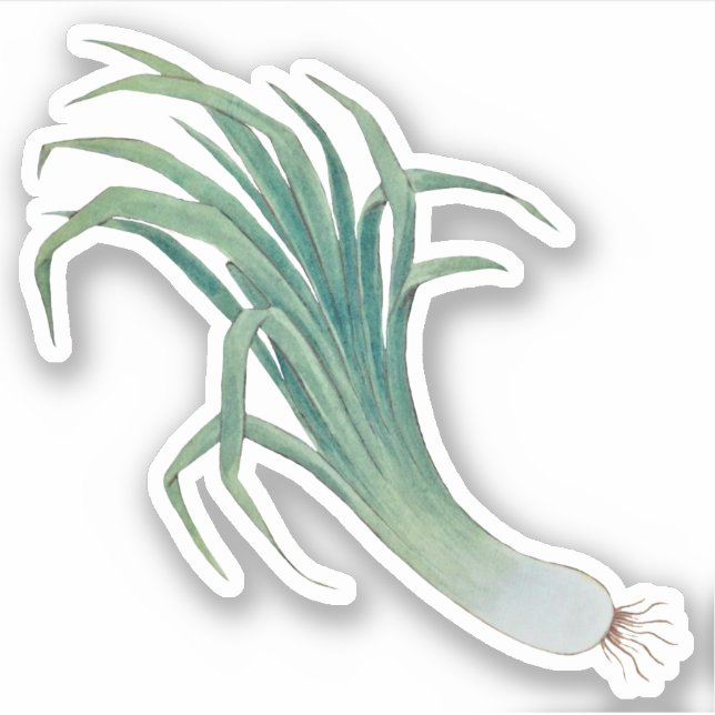 St. David's Day Leek Contour Sticker (fR) (Front)
