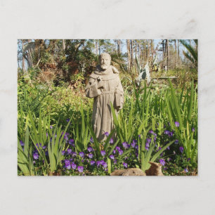 St. Francis Among Pansies Postcard