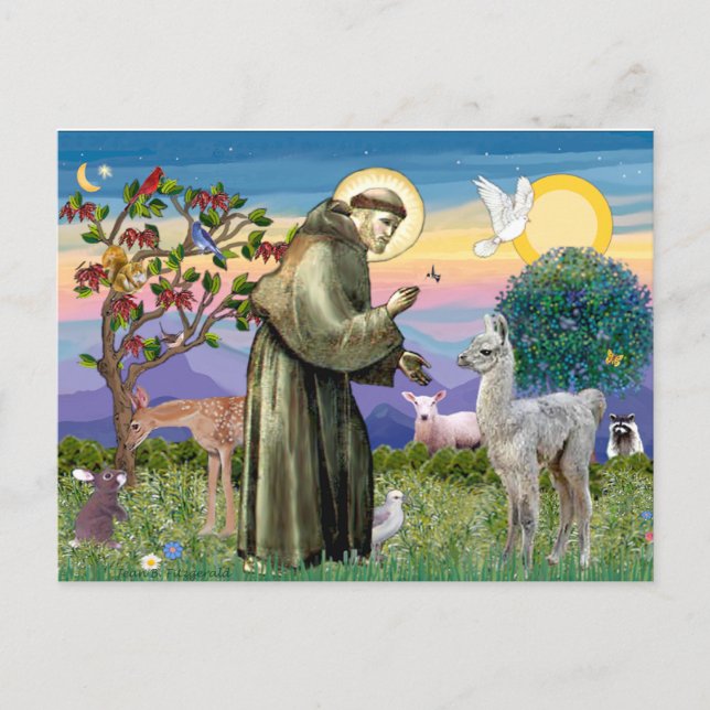 St Francis and Llama Baby Postcard (Front)