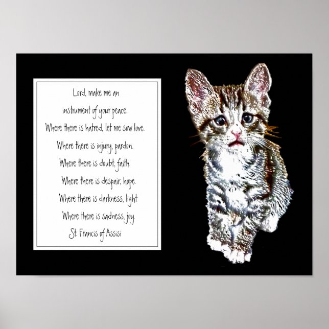 St. Francis of Assisi Prayer with Sweet Kitten Cat Poster (Front)