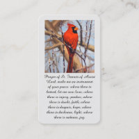 St. Francis of Assisi Red Cardinal Bird