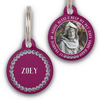 St Francis Safe Pet Protector Name Photo Custom Tag