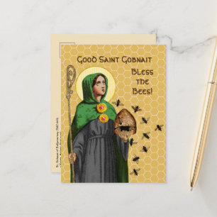 St. Gobnait of Ballyvourney (SAE 003) Postcard