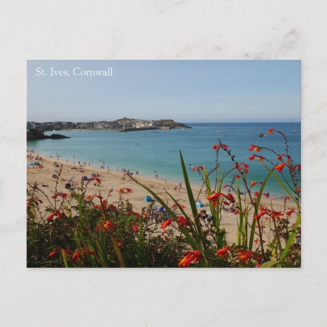 St. Ives Cornwall Postcard (Front)