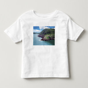 St. John's, Newfoundland, Canada, historic Fort Toddler T-Shirt