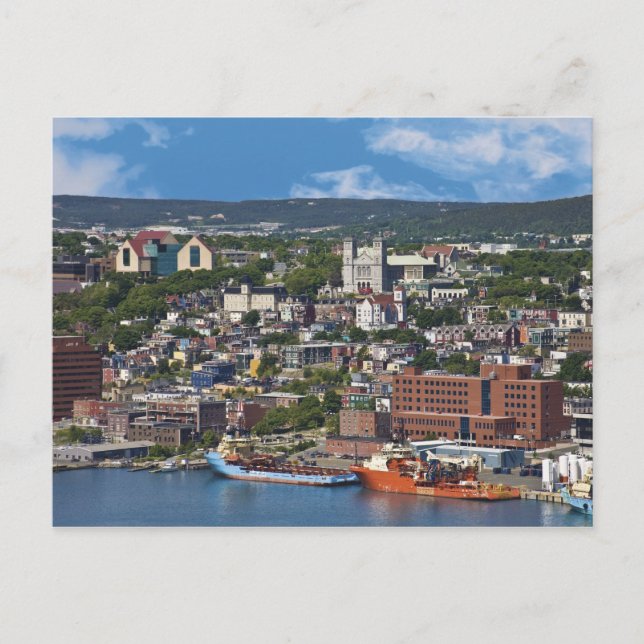 St. John's, Newfoundland, Canada, the coastline Postcard (Front)