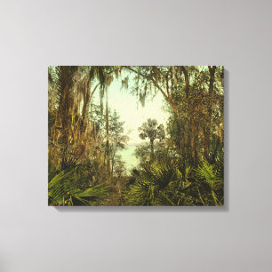 St. Johns River Florida 1898 Photo Canvas Print