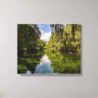 St Johns River Florida Reflections Canvas Print