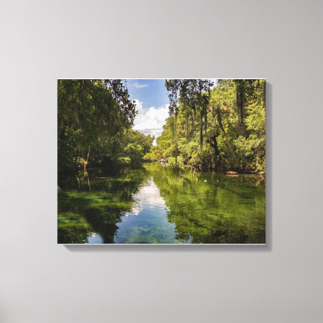 St Johns River Florida Reflections Canvas Print (Front)