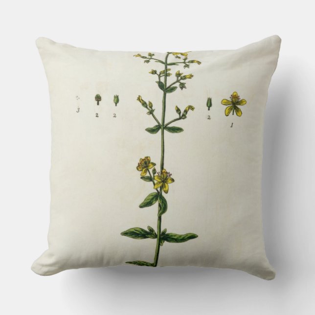 St. John's Wort, plate 15 from 'A Curious Herbal', Cushion (Front)
