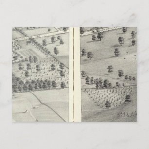 St. Louis, Missouri 24 Postcard