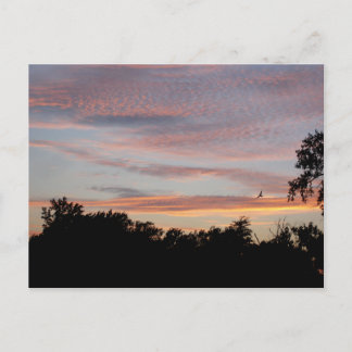 St. Louis Sunset Postcard