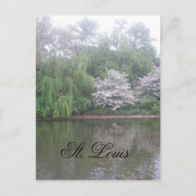 St. louis zoo postcard (Front)