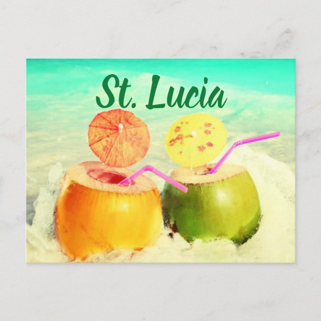 St. Lucia coconuts Postcard (Front)