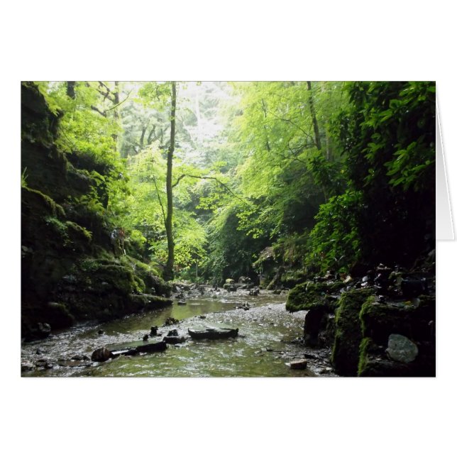 St Nectan's Glen Cornwall Photograph (Front Horizontal)