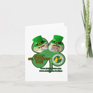 st. paddies day - note cards