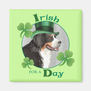 St. Patrick's Day Berner Magnet