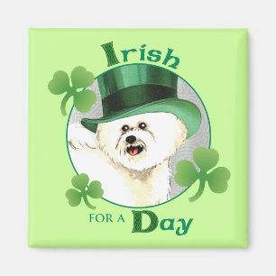 St. Patrick's Day Bichon Magnet
